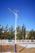 2021年照明市場規模