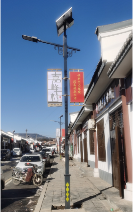 地方（fāng）元素太阳能路灯（dēng）案例
